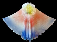 Angel Wings - Adult (Multicolor)