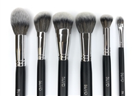 COMPLEXION ESSENTIAL BRUSH SET