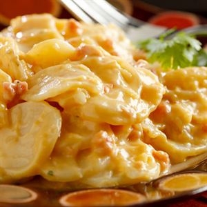 Youngevity Au Gratin Potatoes