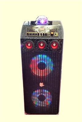 Bluetooth Professional DJ Speaker 291 with Disco Lights Multimedia Karaoke & PA System