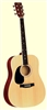 Indiana Dreadnought Natural Finish Lefty Guitar