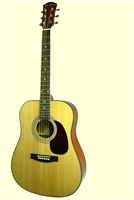 Glen Burton Conservatory SGA41 Dreadnought Acoustic Guitar (Multi-Colors)