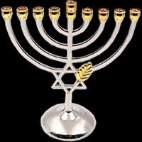 0980- Menorah -Silver Plated Star of David