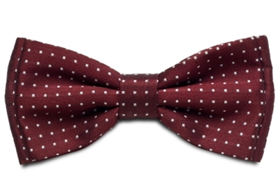 Polka Dot Bow Tie