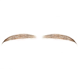 Fake Eyebrows C. Real Human Hair