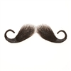 Fake Moustache Captain Hook Real Human Hair