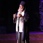 Nicodemus Theatrical Beard and Moustache Set