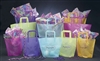 Colored Trapezoid Bags