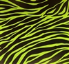 Lime Zebra Giftwrap