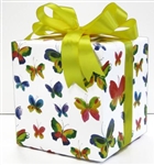 Rainbow Butterflies Giftwrap