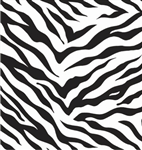 Zebra Stripes Giftwrap