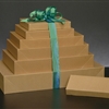 Natural Kraft Apparel Boxes