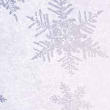 Silver Snowflake Tissue