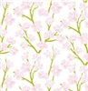 Cherry Blossoms Tissue