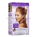 Dark & Lovely Honey Blonde 378 Permanent Hair Color