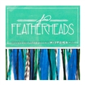 Fine FeatherHeads Wispers Peacock - Shorts