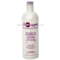 ApHogee Shampoo for Damaged Hair 16 oz