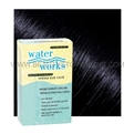 Water Works Permanent Powder Hair Color #21 Blue Black