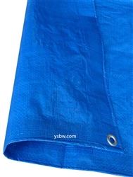 100x100 Blue Tarp