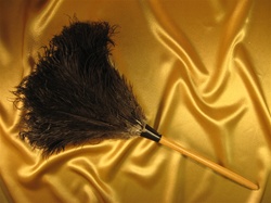 22" Premium Ostrich Feather Duster - (FDDFW22B)