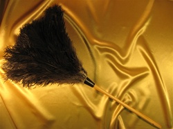28" Premium Ostrich Feather Duster - (FDDFW28B)