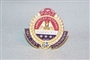 Past National District Commander Pin