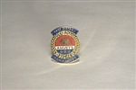 Past District Commander Pin