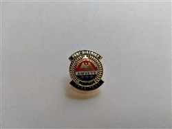 Past District President Pin