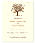 Apple Tree Wedding Save the Date cards