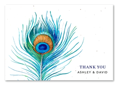 Watercolor Thank you notes ~ Delicate Peacock (Peacock, White)