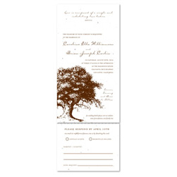 Plantable Wedding Invitations - Family Tree