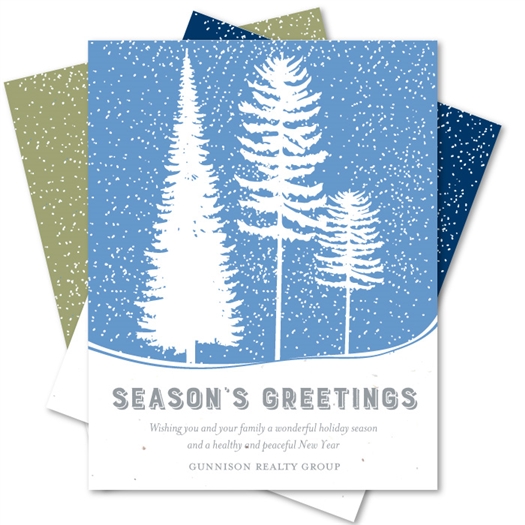 Holiday Greeting Cards | Winter's Glory