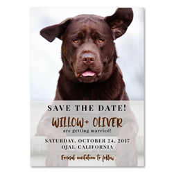 Pet Wedding Save the Date Dog | The Labrador Dog (100% recycled paper)