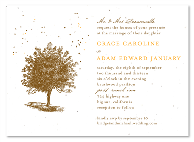 New England Wedding Invitations - Living Tree (Swiss Chocolate and Mango)