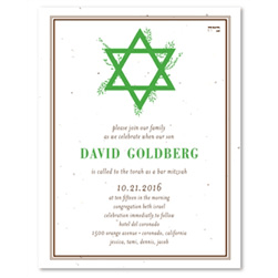 Bar Mitzvah Invitations ~ Natural Star of David (seeded)