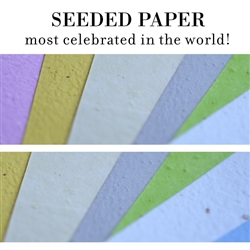 Plantable Paper | DIY Seeded Papers