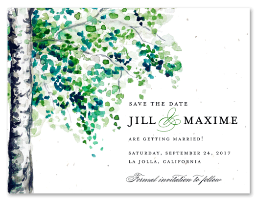 Birch Tree Save the Date Cards | September Birch