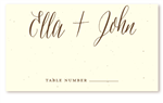 Stylish Wedding Place Cards | Plantable Wedding Table Cards - Stylish by ForeverFiances