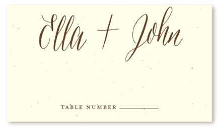 Stylish Wedding Place Cards | Plantable Wedding Table Cards - Stylish by ForeverFiances