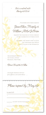 Seed Paper Invitations - Summer Dance by ForeverFiances Weddings