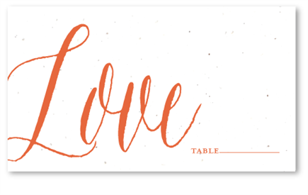 Love Theme Wedding Place Cards | Plantable Wedding Table Cards - Together & Married by ForeverFiances