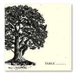 Seed Paper Place Cards | Vieux Oak Tree