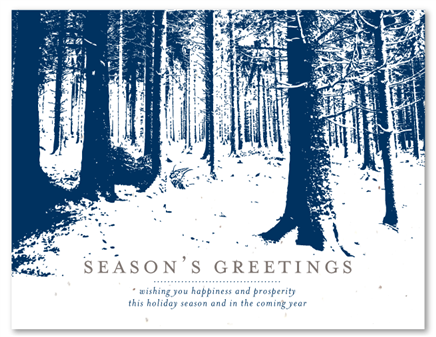 Plantable Holiday Cards | Winter Forest