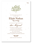 Bar Mitzvah Invitations Beth Shalom (seeded paper)