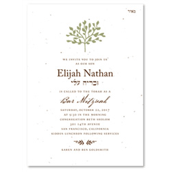 Bar Mitzvah Invitations Beth Shalom (seeded paper)