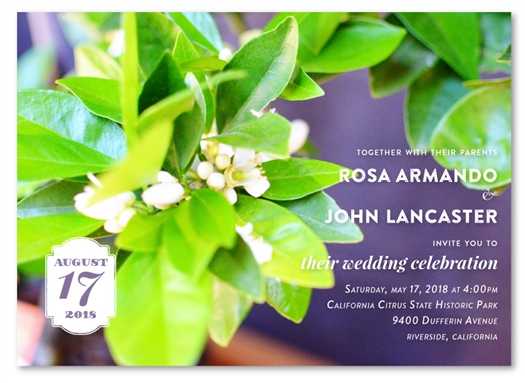 Lemon Tree Wedding Invitations | Citrus Blossoms