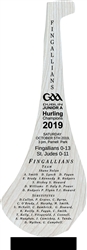 Hurling panel