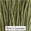 EVE'S LEAVES