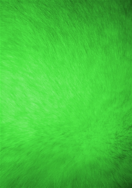 Neon Furry Green