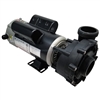 **NO LONGER AVAILABLE** Pump Assembly, LX, 48FR, 230V, 2SP, 3.0HP, 10.0/3.0A, 2"